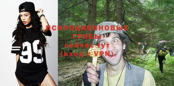 трава Белокуриха