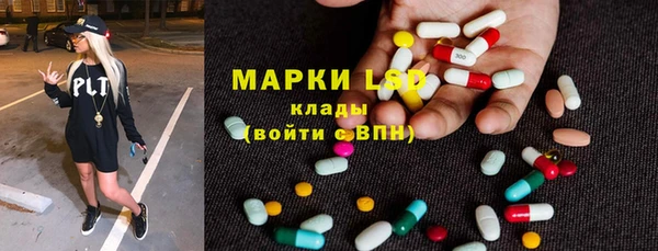 ПСИЛОЦИБИНОВЫЕ ГРИБЫ Белоозёрский