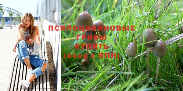 трава Беломорск