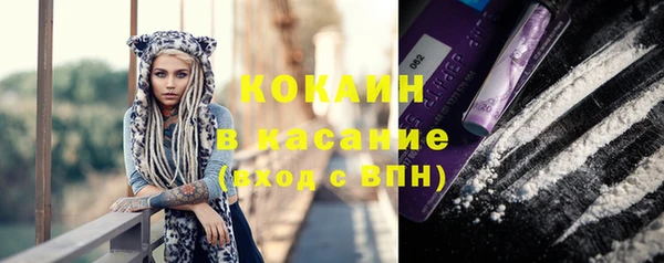 ПСИЛОЦИБИНОВЫЕ ГРИБЫ Белоозёрский